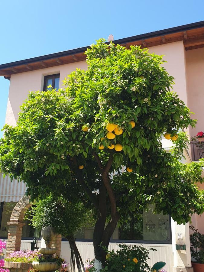 Hotel Fattoria Stocchi Quattromiglio Exterior photo